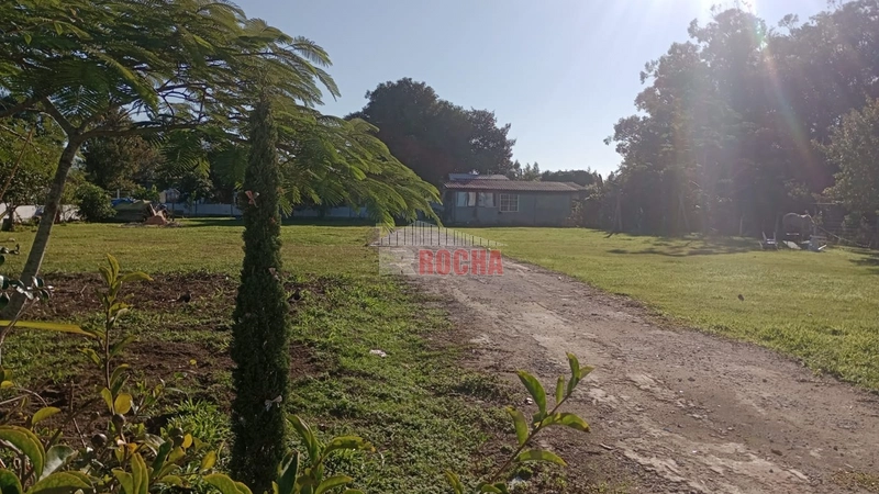 Excelente área, em Arroio Teixeira! Onde pode construir sua chácara!!: 8ª foto da galeria de imagens do imóvel