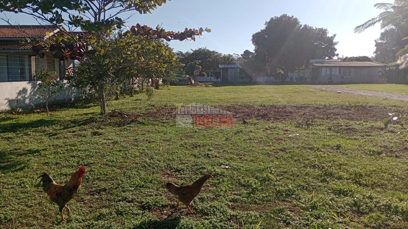 Excelente área, em Arroio Teixeira! Onde pode construir sua chácara!!: 9ª foto da galeria de imagens do imóvel