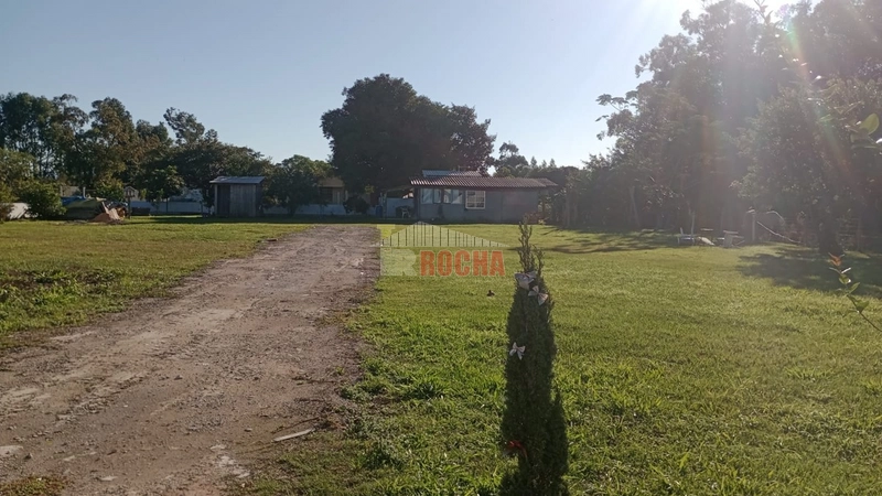 Excelente área, em Arroio Teixeira! Onde pode construir sua chácara!!: 1ª foto da galeria de imagens do imóvel