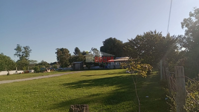 Excelente área, em Arroio Teixeira! Onde pode construir sua chácara!!: 7ª foto da galeria de imagens do imóvel