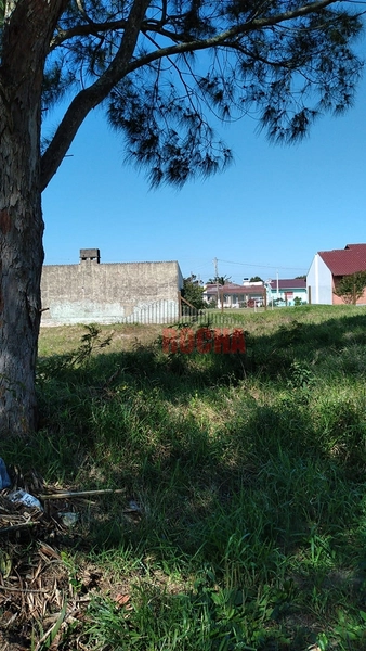 TERRENO EM LOCALIZAÇÃO ALTA E NOBRE NA PRAIA DE ARROIO TEIXEIRA!: 3ª foto da galeria de imagens do imóvel