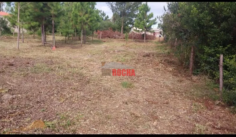 OFERTA! BAIXOU!TERRENOS EM RUA SEM SAÍDA EM ARROIO TEIXEIRA!: 2ª foto da galeria de imagens do imóvel