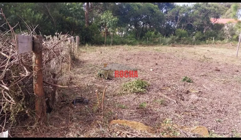 OFERTA! BAIXOU!TERRENOS EM RUA SEM SAÍDA EM ARROIO TEIXEIRA!: 3ª foto da galeria de imagens do imóvel