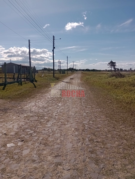 TERRENO A POUCOS METROS DO MAR EM PRAIA NOVO CURUMIM!!: 5ª foto da galeria de imagens do imóvel