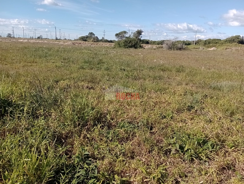 TERRENO A POUCOS METROS DO MAR EM PRAIA NOVO CURUMIM!!: 2ª foto da galeria de imagens do imóvel