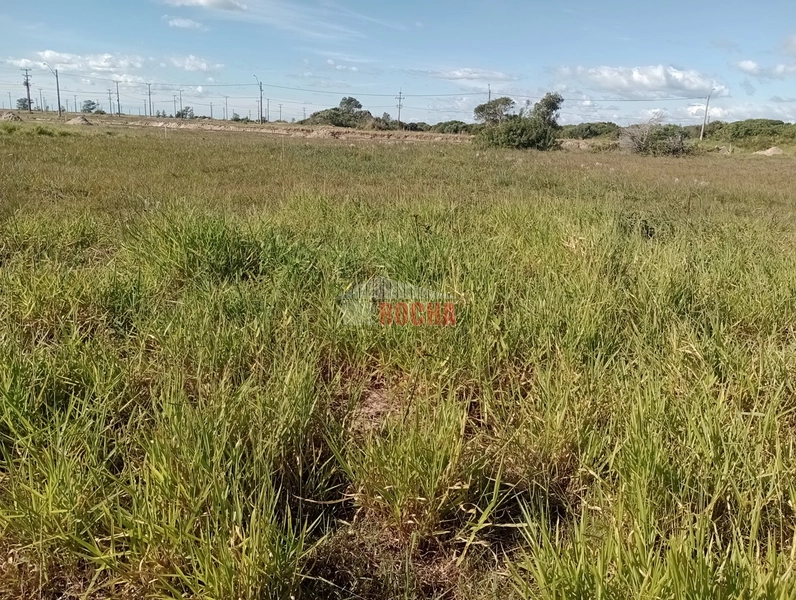 TERRENO A POUCOS METROS DO MAR EM PRAIA NOVO CURUMIM!!: 4ª foto da galeria de imagens do imóvel