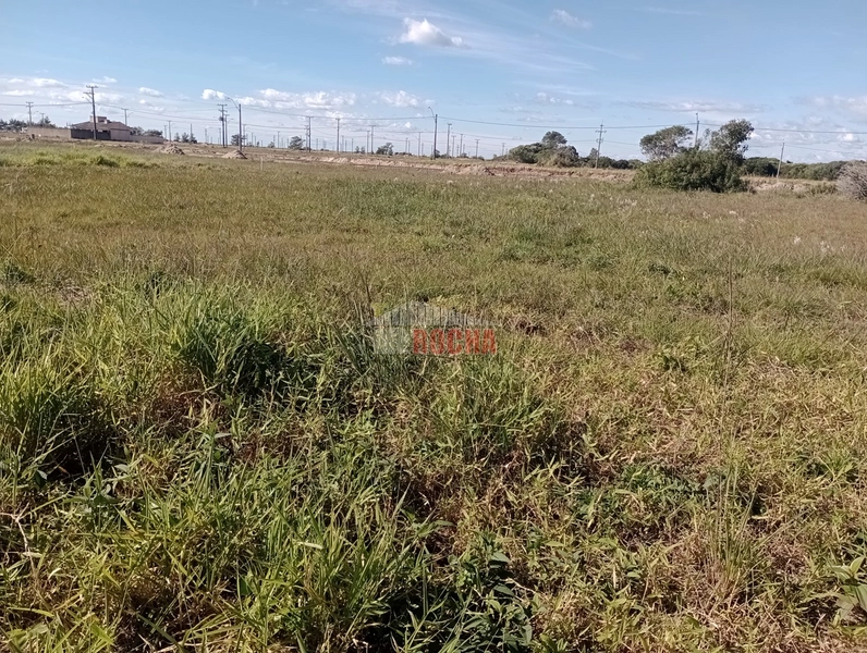TERRENO A POUCOS METROS DO MAR EM PRAIA NOVO CURUMIM!!: 3ª foto da galeria de imagens do imóvel