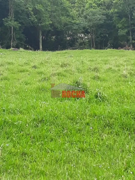 ÁREA DE TERRAS COM AÇUDE EM ITATI!: 8ª foto da galeria de imagens do imóvel