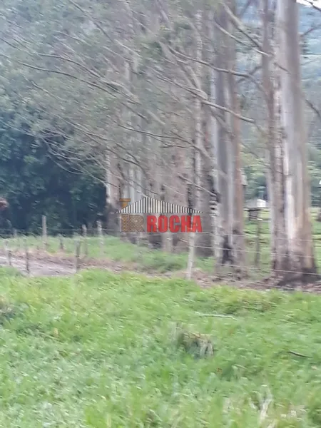 ÁREA DE TERRAS COM AÇUDE EM ITATI!: 42ª foto da galeria de imagens do imóvel
