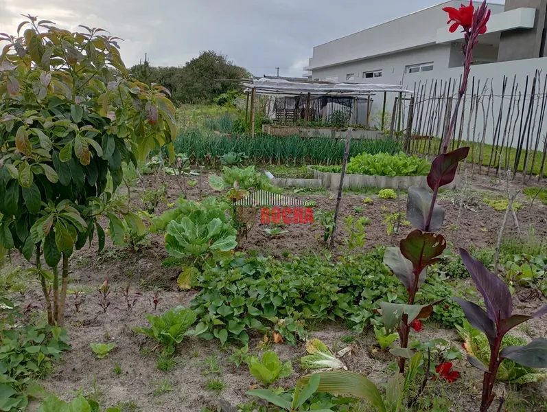 Terreno pronto para contruir em praia Curumim: 3ª foto da galeria de imagens do imóvel
