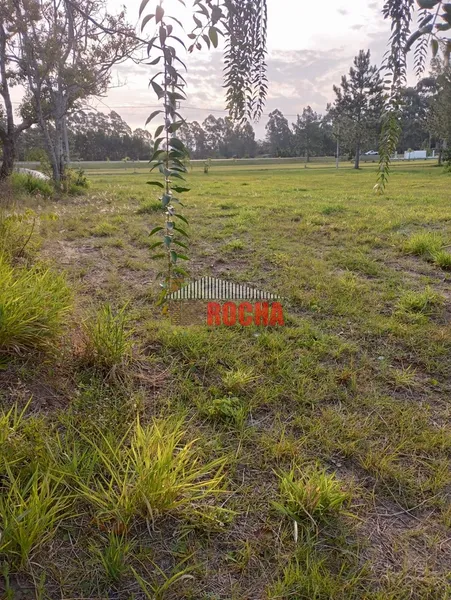 LINDO TERRENO EM PRAIA ARROIO TEIXEIRA SOLAR DO ARROIO!: 6ª foto da galeria de imagens do imóvel