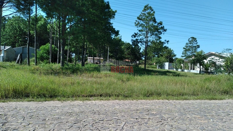 EXCLUSIVIDADE! TERRENO EM ÓTIMA LOCALIZAÇÃO EM PRAIA ARROIO TEIXEIRA!: 1ª foto da galeria de imagens do imóvel