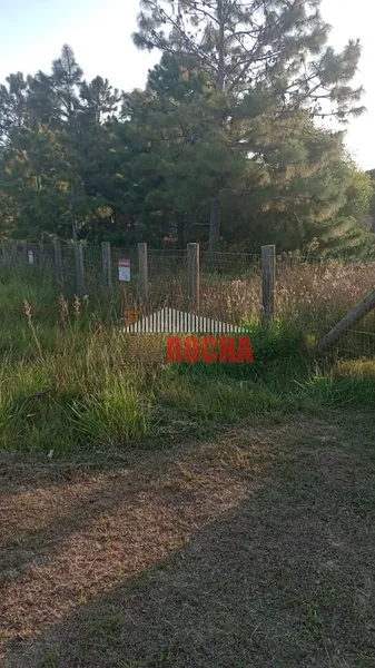 TERRENOS A 500M DO MAR EM PRAIA DE ARROIO TEIXEIRA!: 5ª foto da galeria de imagens do imóvel