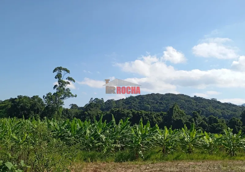 ÁREA DE TERRAS COM BANANAL!: 2ª foto da galeria de imagens do imóvel