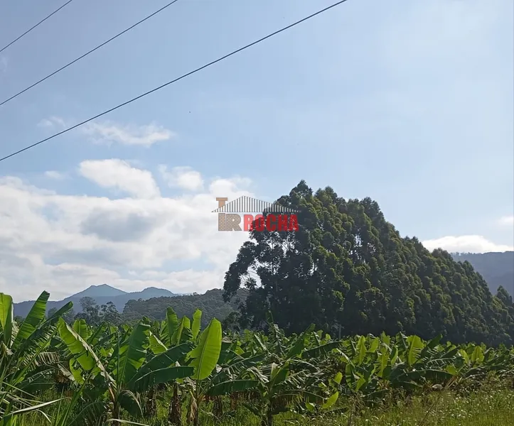 ÁREA DE TERRAS COM BANANAL!: 3ª foto da galeria de imagens do imóvel