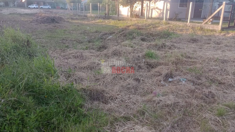 TERRENO EM PRAIA ARROIO TEIXEIRA: 1ª foto da galeria de imagens do imóvel