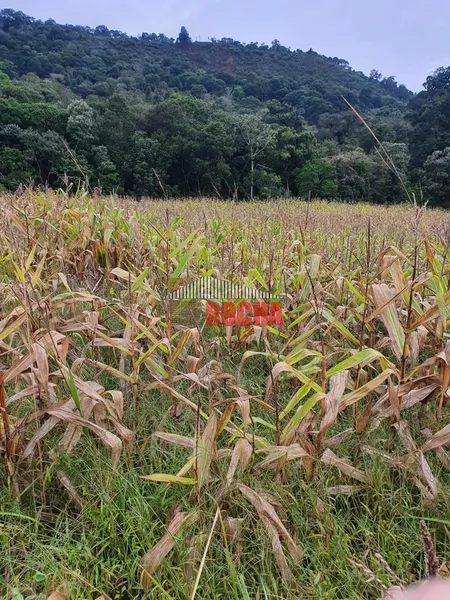 TERRENO DE ÁREA RURAL EM NOVA TRIPOLI!: 5ª foto da galeria de imagens do imóvel
