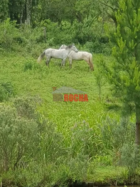 TERRENO DE ÁREA RURAL EM NOVA TRIPOLI!: 8ª foto da galeria de imagens do imóvel