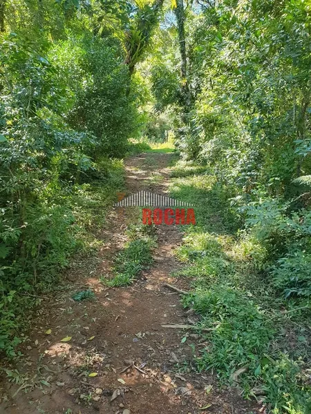 TERRENO DE ÁREA RURAL EM NOVA TRIPOLI!: 14ª foto da galeria de imagens do imóvel