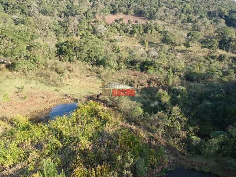 TERRENO DE ÁREA RURAL EM NOVA TRIPOLI!: 7ª foto da galeria de imagens do imóvel