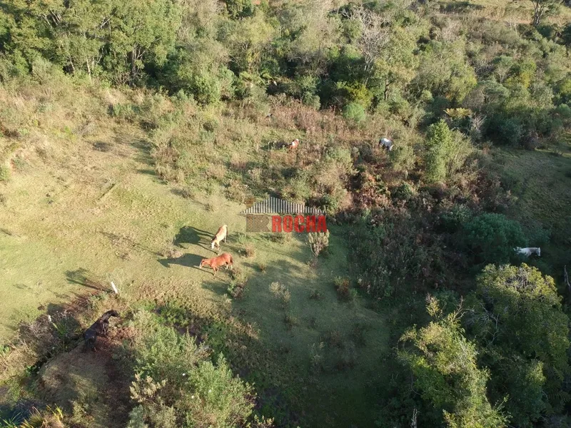 TERRENO DE ÁREA RURAL EM NOVA TRIPOLI!: 6ª foto da galeria de imagens do imóvel