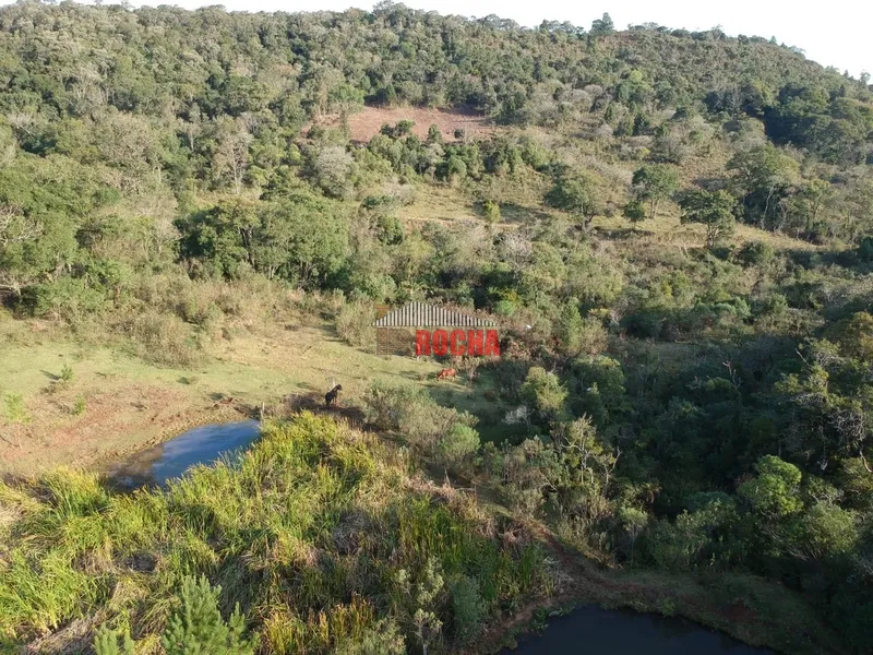 TERRENO DE ÁREA RURAL EM NOVA TRIPOLI!: 9ª foto da galeria de imagens do imóvel