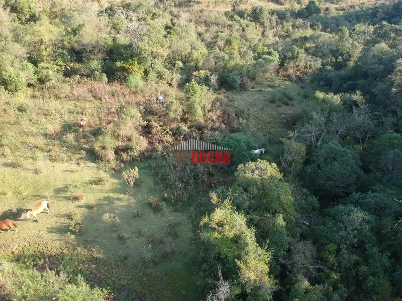 TERRENO DE ÁREA RURAL EM NOVA TRIPOLI!: 10ª foto da galeria de imagens do imóvel