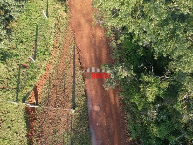 TERRENO DE ÁREA RURAL EM NOVA TRIPOLI!: 15ª foto da galeria de imagens do imóvel