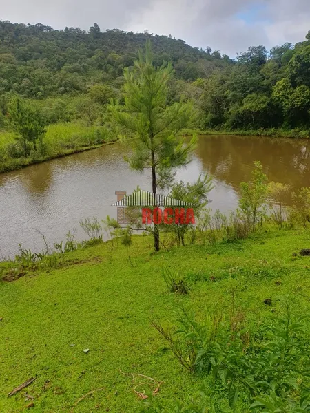 TERRENO DE ÁREA RURAL EM NOVA TRIPOLI!: 3ª foto da galeria de imagens do imóvel