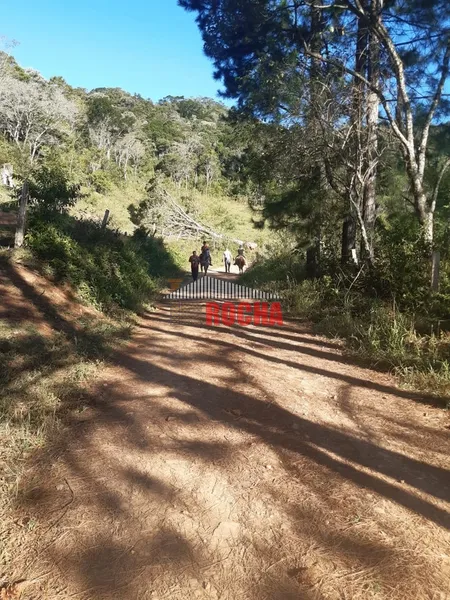 TERRENO DE ÁREA RURAL EM NOVA TRIPOLI!: 13ª foto da galeria de imagens do imóvel