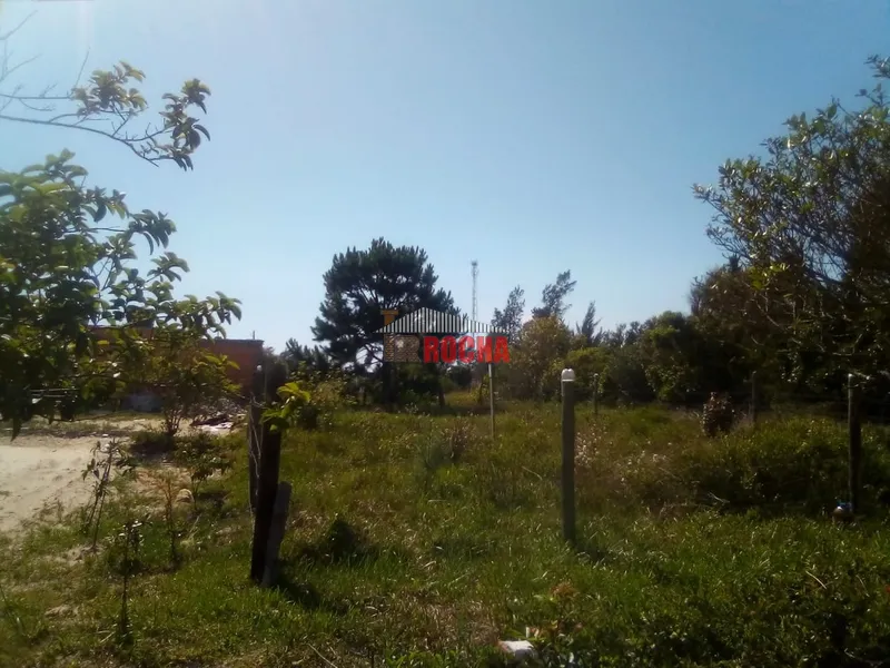 OFERTA! BAIXOU! Seu terreno para construir  em Arroio Teixeira!: 5ª foto da galeria de imagens do imóvel