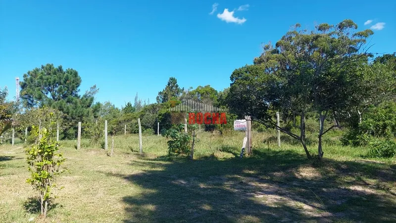 OFERTA! BAIXOU! Seu terreno para construir  em Arroio Teixeira!: 1ª foto da galeria de imagens do imóvel