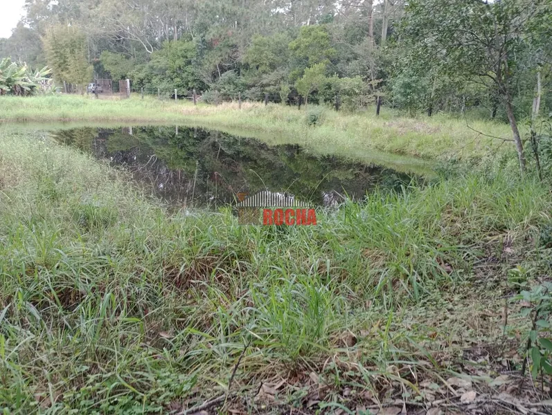 LINDA CHÁCARA EM ARROIO TEIXEIRA!: 15ª foto da galeria de imagens do imóvel