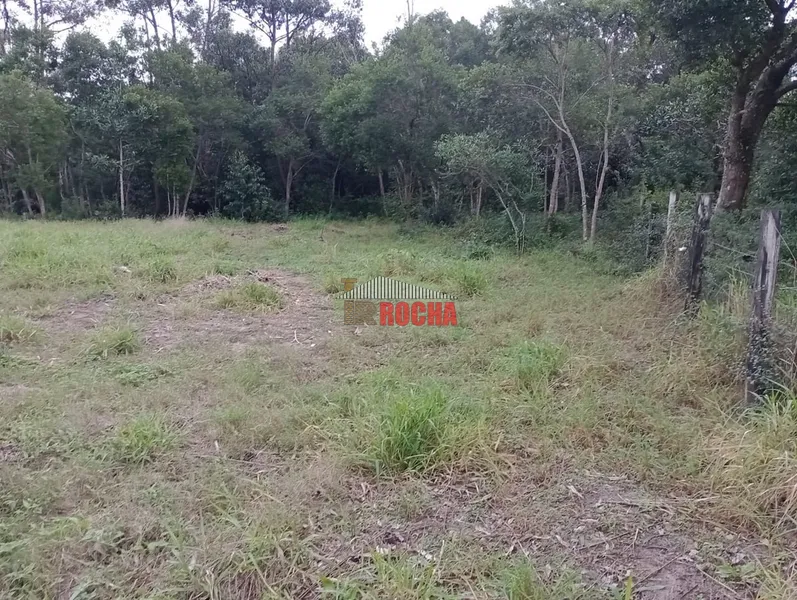 LINDA CHÁCARA EM ARROIO TEIXEIRA!: 21ª foto da galeria de imagens do imóvel