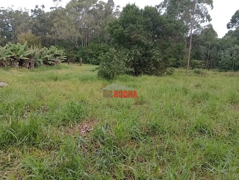 LINDA CHÁCARA EM ARROIO TEIXEIRA!: 19ª foto da galeria de imagens do imóvel