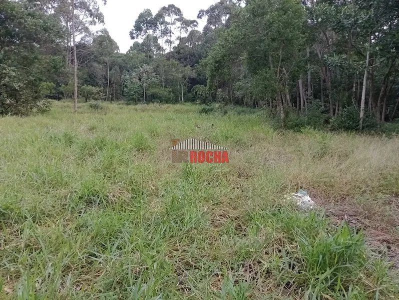 LINDA CHÁCARA EM ARROIO TEIXEIRA!: 18ª foto da galeria de imagens do imóvel