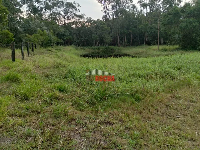 LINDA CHÁCARA EM ARROIO TEIXEIRA!: 24ª foto da galeria de imagens do imóvel