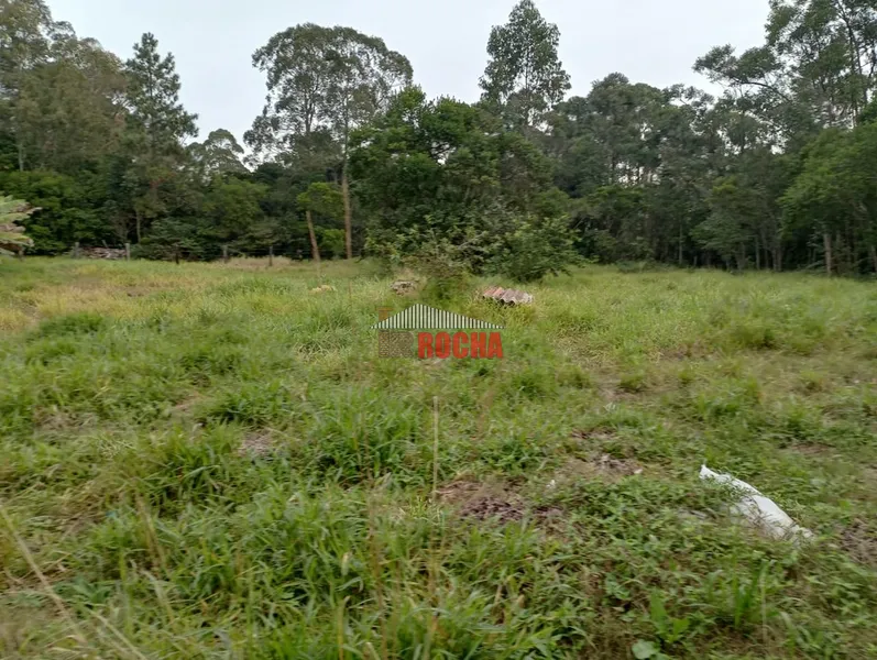 LINDA CHÁCARA EM ARROIO TEIXEIRA!: 22ª foto da galeria de imagens do imóvel
