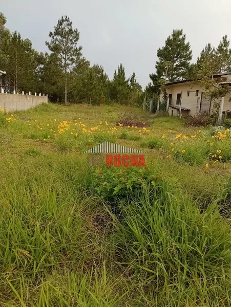 ÓTIMO TERRENO PERTO DE  PRAIA EM ARROIO TEIXEIRA!: 1ª foto da galeria de imagens do imóvel