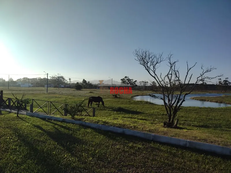 TERRENO COM LAGO EM SOLAR DO ARROIO!: 1ª foto da galeria de imagens do imóvel