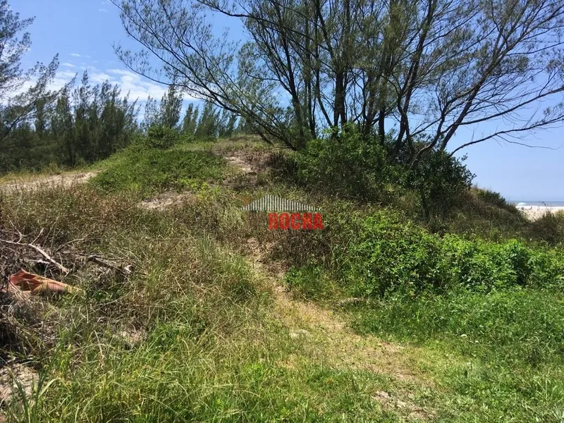 TERRENO BEIRA MAR EM ARROIO TEIXEIRA!: 6ª foto da galeria de imagens do imóvel