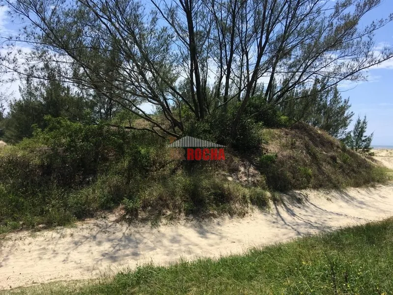TERRENO BEIRA MAR EM ARROIO TEIXEIRA!: 9ª foto da galeria de imagens do imóvel