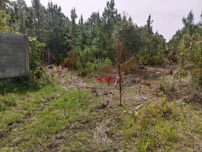 TERRENO  COM VALOR ACESSÌVEL EM PEAIA ARROIO TEIXEIRA: 4ª foto da galeria de imagens do imóvel