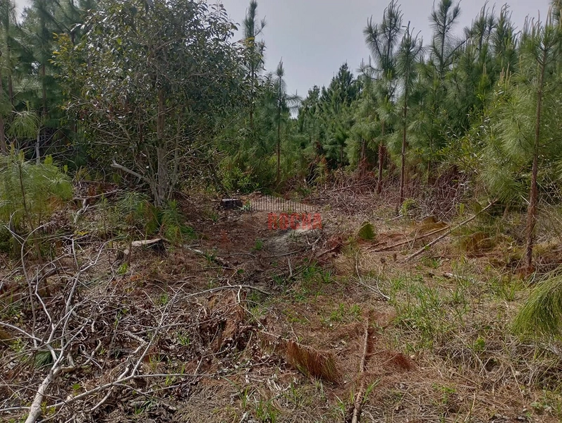 TERRENO  COM VALOR ACESSÌVEL EM PEAIA ARROIO TEIXEIRA: 2ª foto da galeria de imagens do imóvel