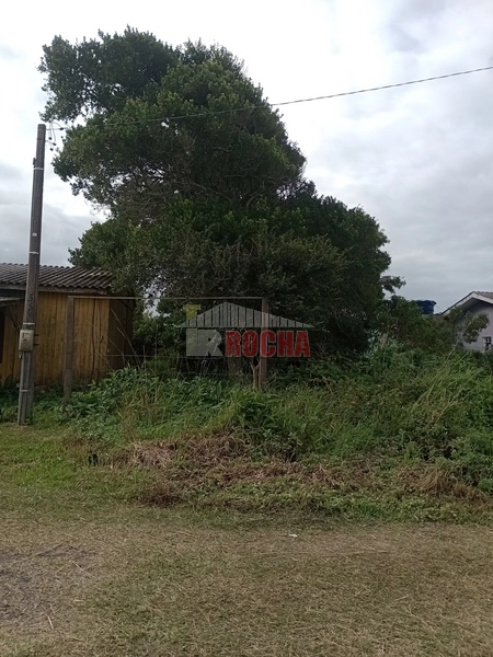 EXCLUSIVIDADE! TERRENO BEM LOCALIZADO EM PRAIA ARROIO TEIXEIRA!: 1ª foto da galeria de imagens do imóvel