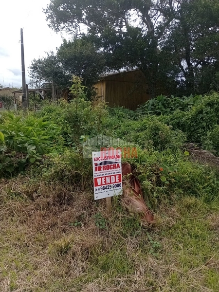 EXCLUSIVIDADE! TERRENO BEM LOCALIZADO EM PRAIA ARROIO TEIXEIRA!: 3ª foto da galeria de imagens do imóvel