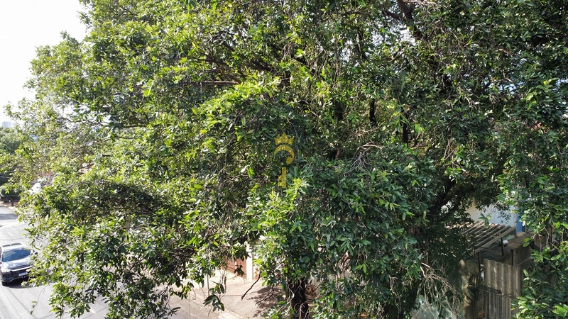 TERRENO PARA VENDA - COM 300M² - ARACATUBA - SP: 2ª foto da galeria de imagens do imóvel