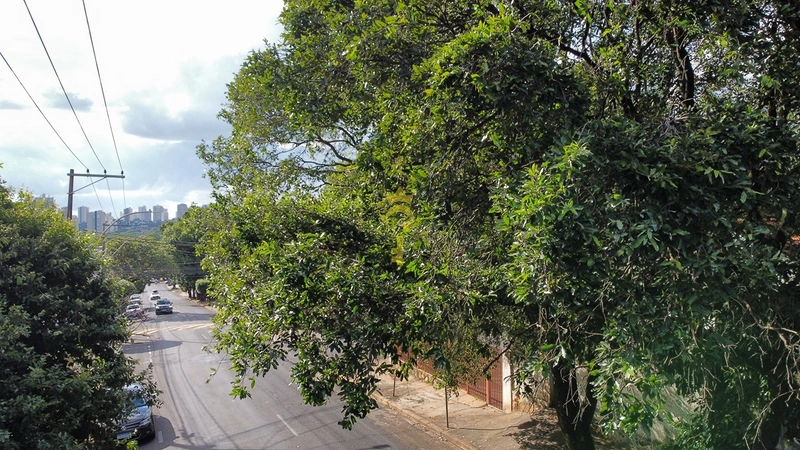 Imóvel residencial ou comercial