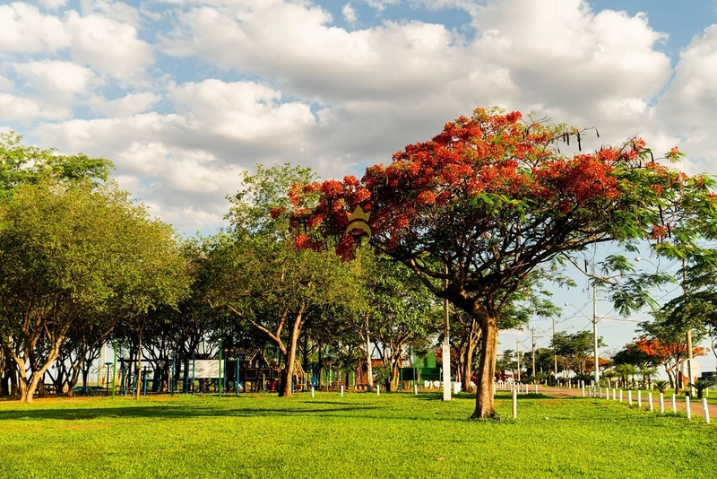 Terreno perto do píer à venda, condomínio Costa Azul: 8ª foto da galeria de imagens do imóvel