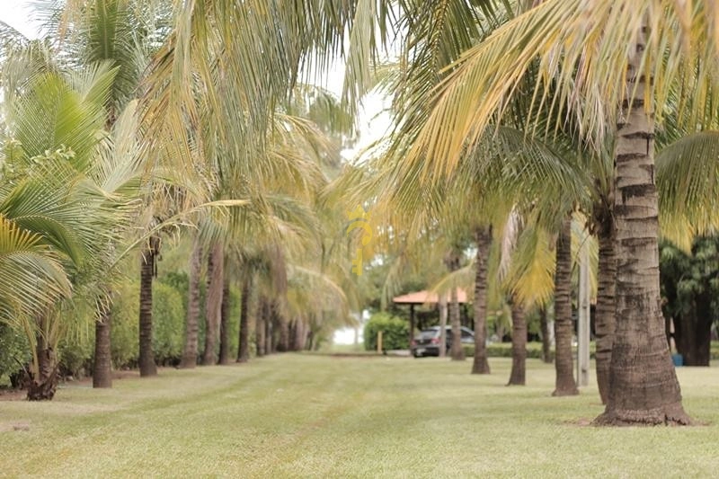 Rancho à Venda na Beira do Rio | 3.898 m², Piscina de Biribol, Mini Campo e Acesso Privativo ao Rio – Aracanguá/SP: 6ª foto da galeria de imagens do imóvel